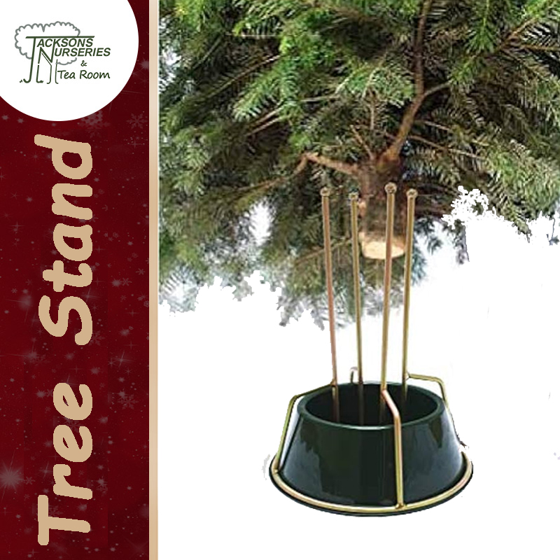 Stained Christmas tree stand